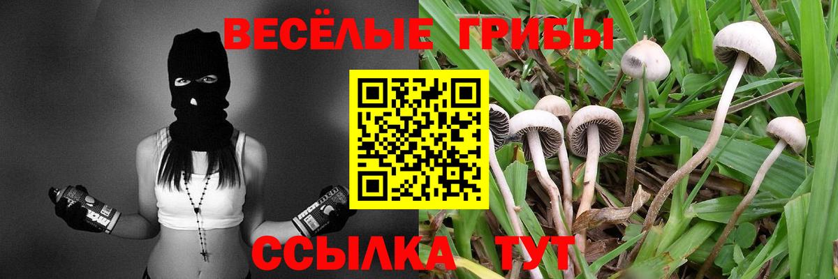 Псилоцибиновые грибы Psilocybine cubensis Когалым